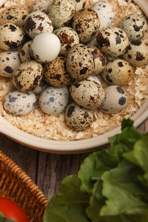 去壳鹌鹑蛋食品蛋类食品摄影图 摄影